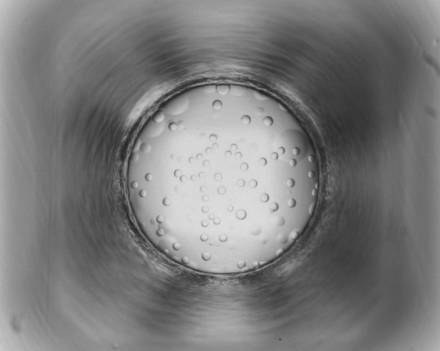 X0000102000978200807180844