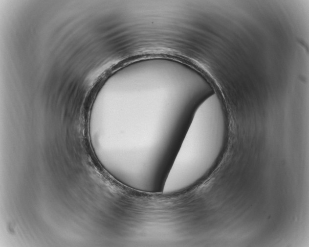 X0000102000979200807180844