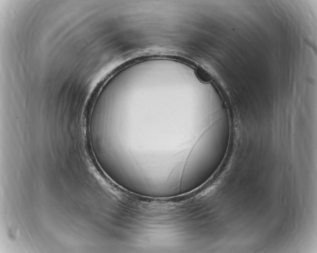 X0000102000981200807180844