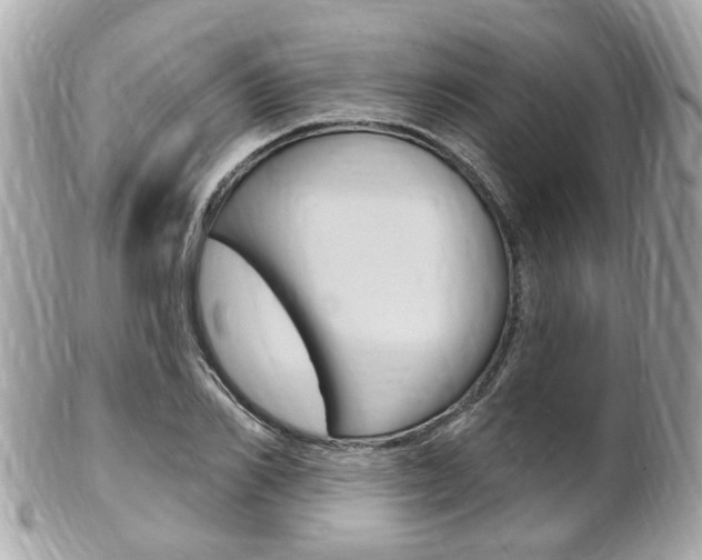 X0000102000982200807180844