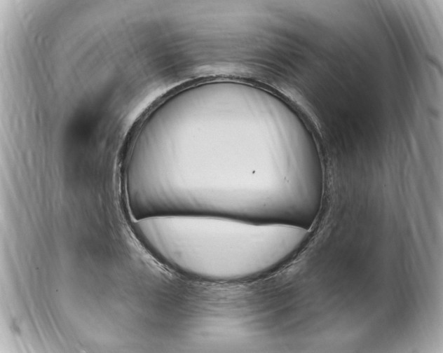 X0000102000983200807180844