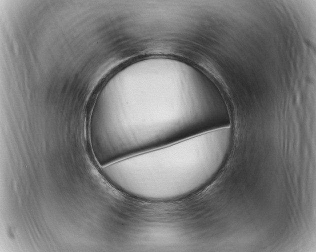 X0000102000984200807180844