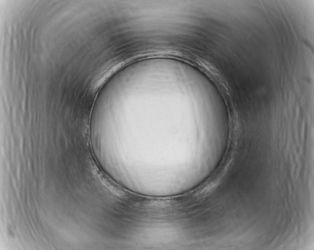 X0000102000985200807180844