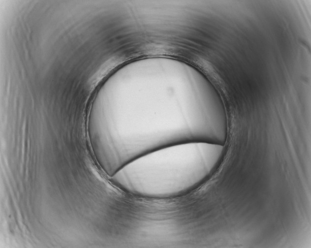 X0000102000986200807180844