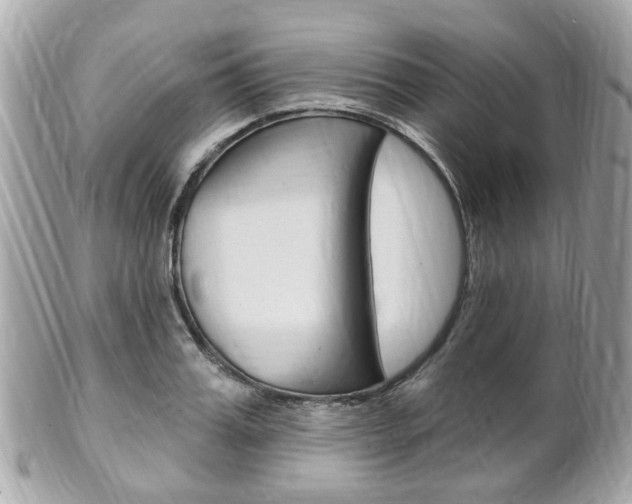 X0000102000987200807180844