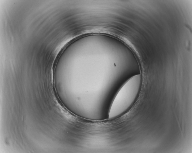 X0000102000988200807180844