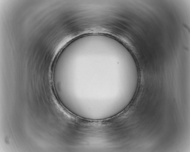 X0000102000990200807180844