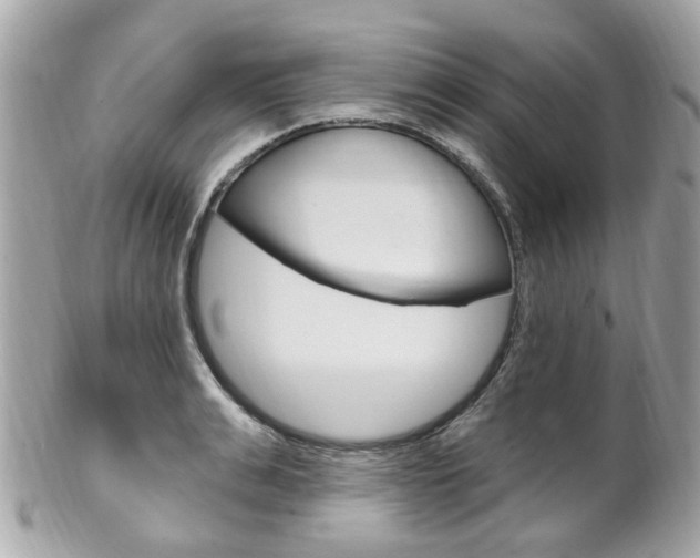 X0000102000991200807180844