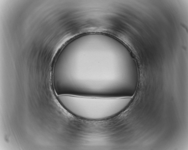 X0000102000992200807180844