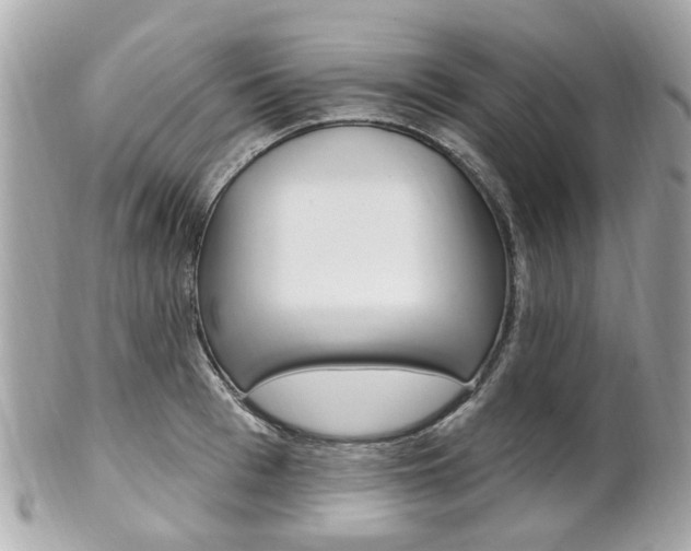 X0000102000993200807180844