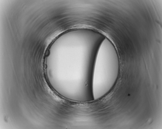 X0000102000995200807180844