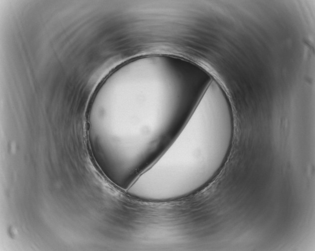 X0000102000996200807180844