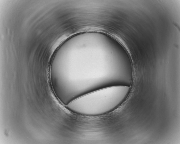 X0000102000997200807180844