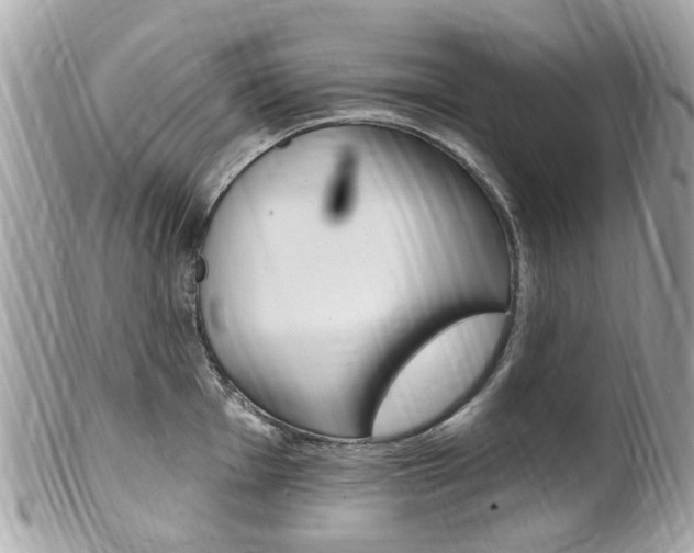 X0000102001001200807180844