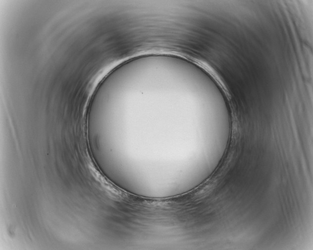 X0000102001004200807180844