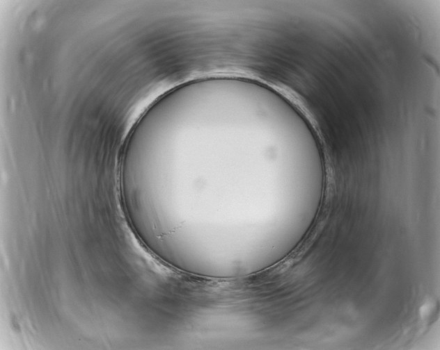 X0000102001006200807180844