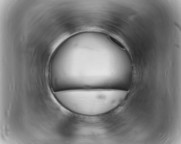 X0000102001007200807180844
