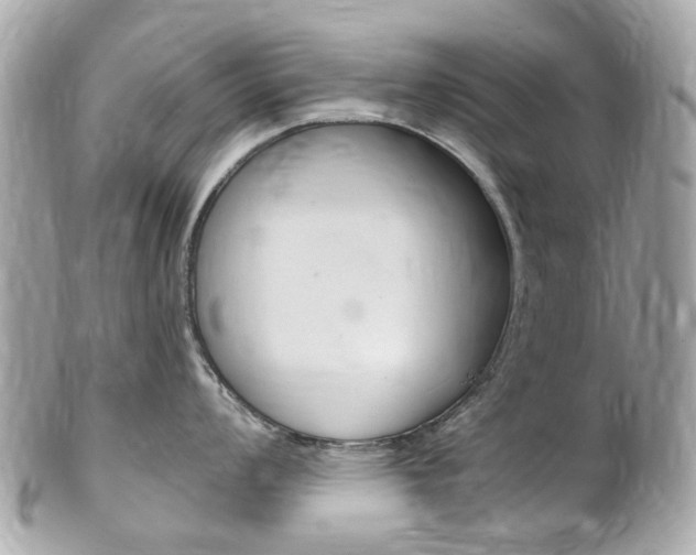 X0000102001008200807180844