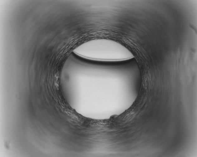 X0000102001010200807180843