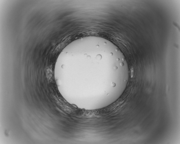 X0000102001011200807180843