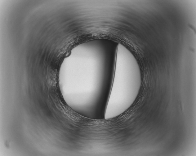 X0000102001012200807180843