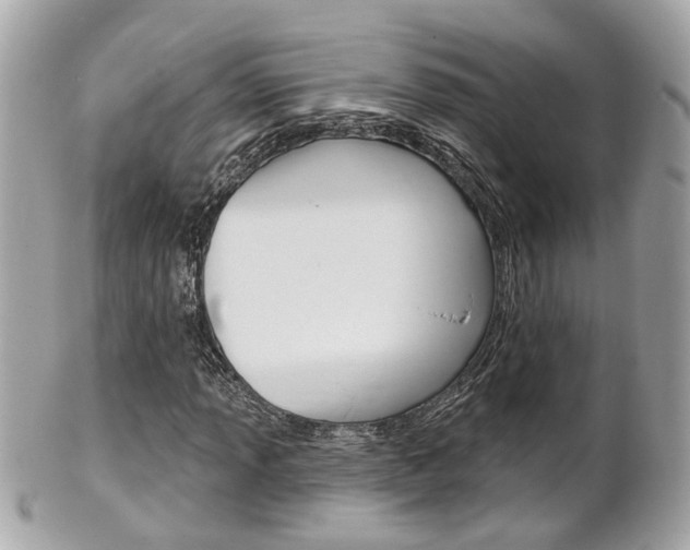 X0000102001013200807180843
