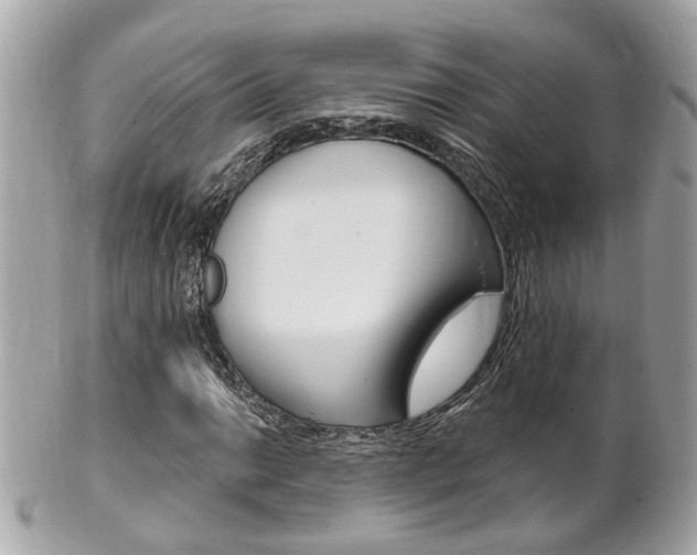 X0000102001014200807180843