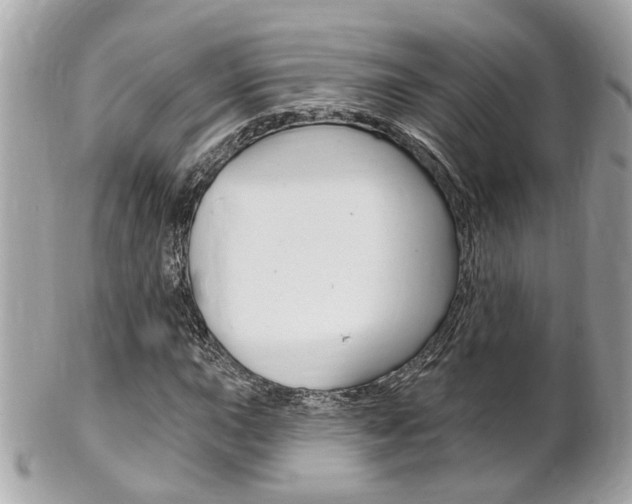 X0000102001015200807180843