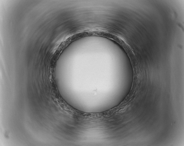 X0000102001016200807180843