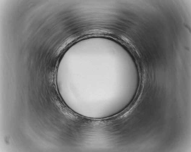 X0000102001017200807180843