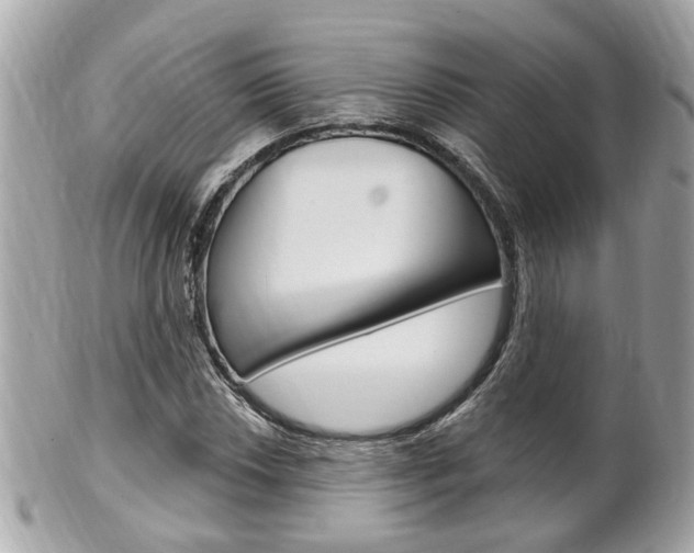 X0000102001018200807180844
