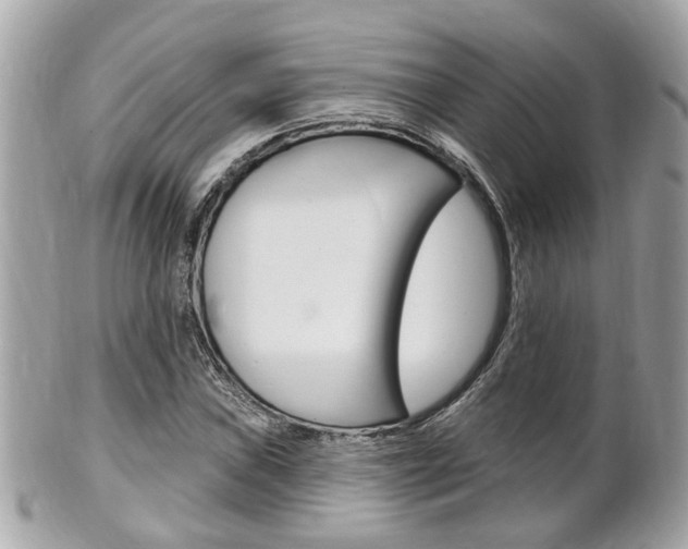 X0000102001019200807180844