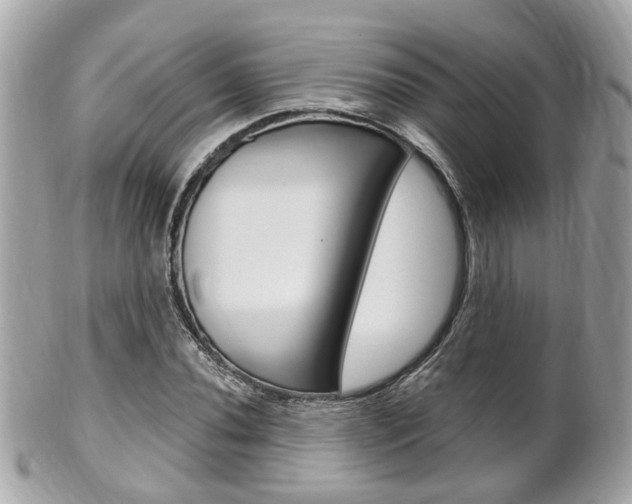 X0000102001020200807180844