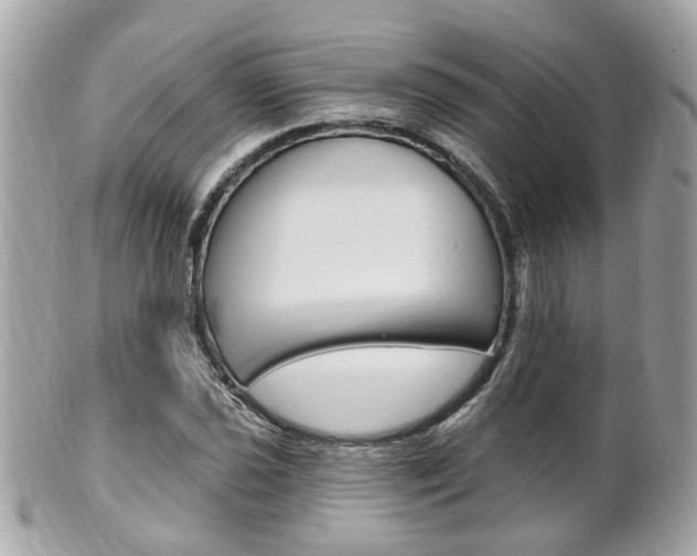 X0000102001021200807180844