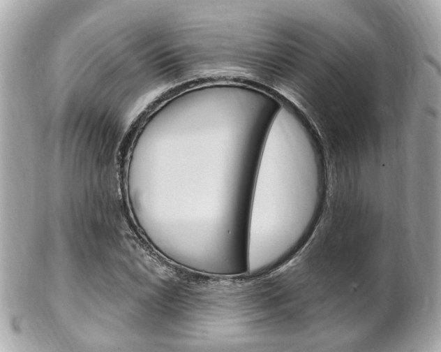 X0000102001022200807180844