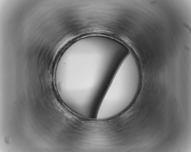 X0000102001024200807180844