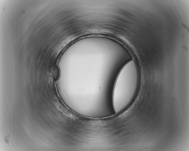 X0000102001025200807180844