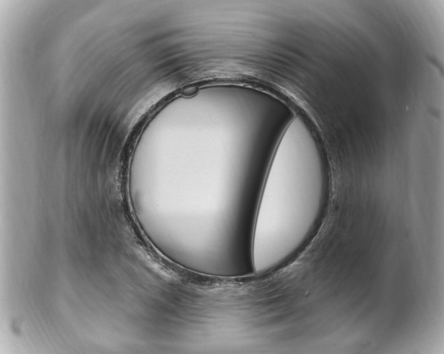 X0000102001026200807180844