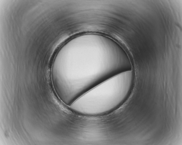 X0000102001029200807180844
