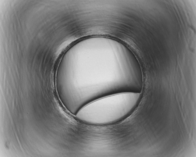 X0000102001030200807180844