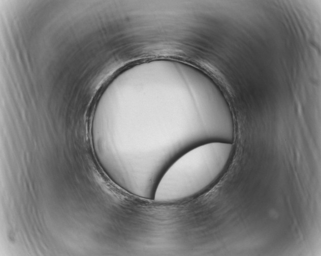 X0000102001031200807180844