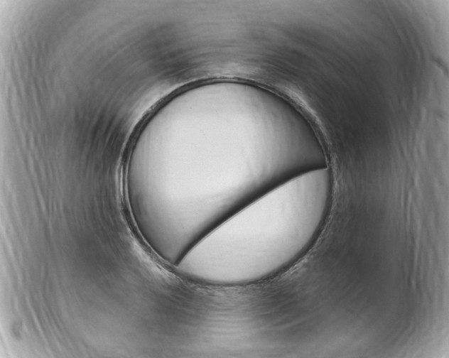 X0000102001032200807180844