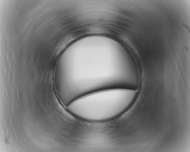 X0000102001033200807180844