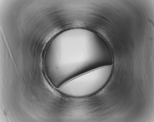X0000102001034200807180844