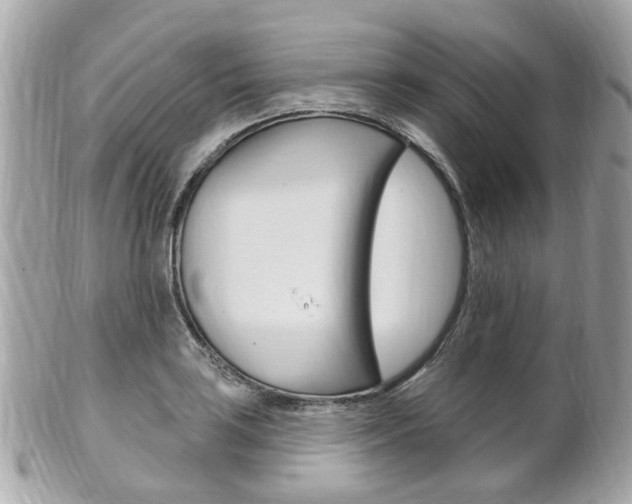 X0000102001035200807180844
