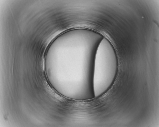 X0000102001036200807180844