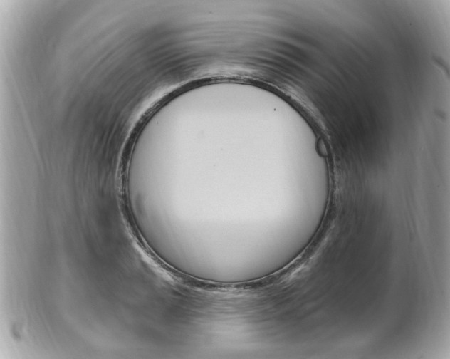 X0000102001037200807180844