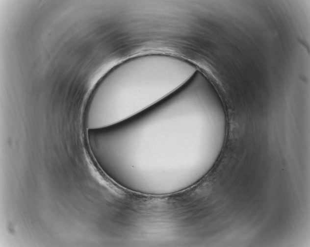 X0000102001038200807180844