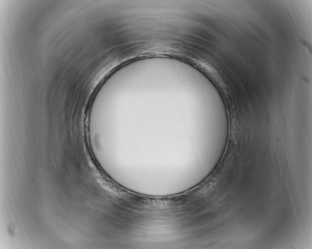 X0000102001039200807180844