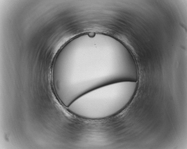 X0000102001040200807180844